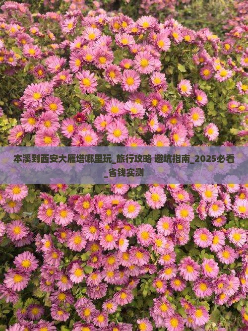 本溪到西安大雁塔哪里玩