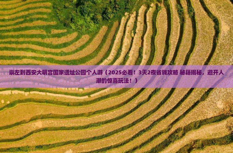 崇左到西安大明宫国家遗址公园个人游