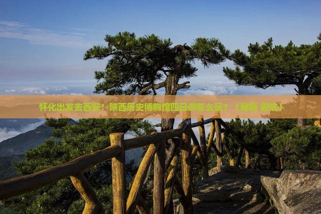 怀化去西安陕西历史博物馆四日游