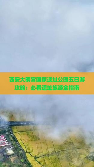 沧州到西安大明宫国家遗址公园五日游