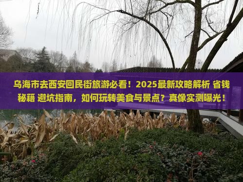 乌海市去西安回民街旅游