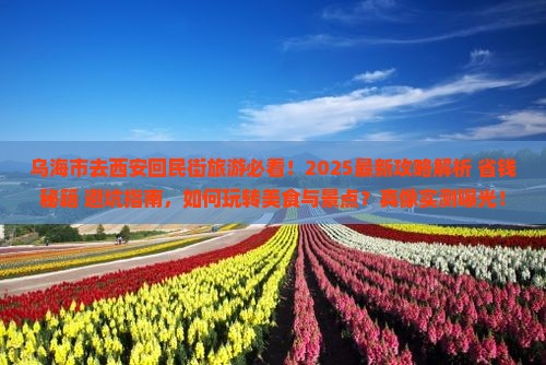 乌海市去西安回民街旅游