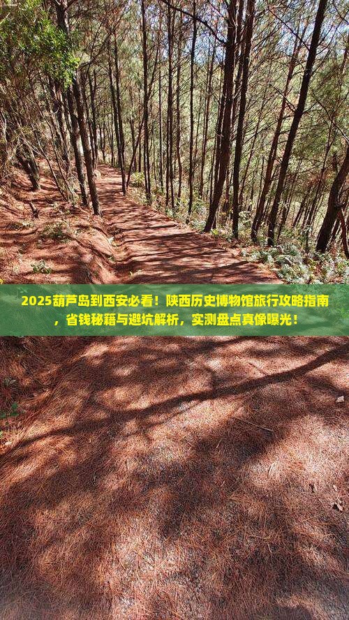 葫芦岛到西安陕西历史博物馆旅行社