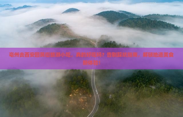亳州去西安回民街旅游小吃