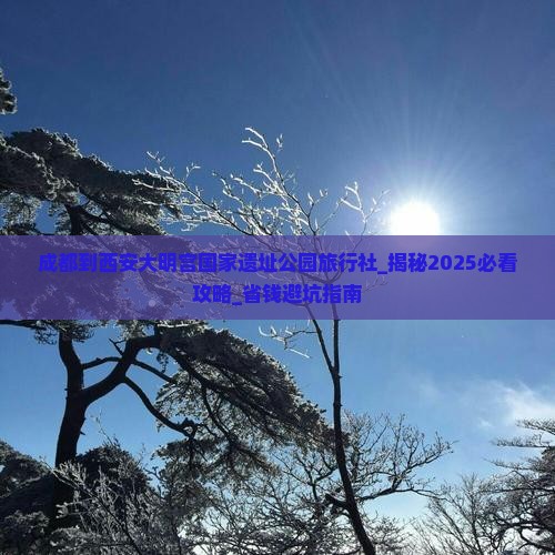 成都到西安大明宫国家遗址公园旅行社
