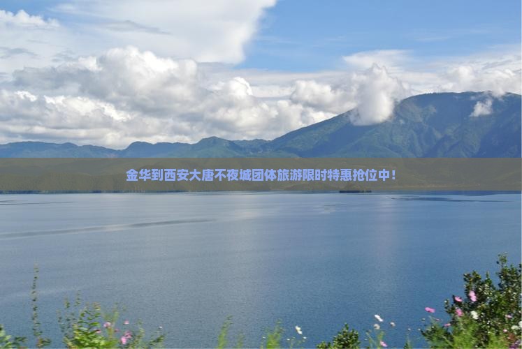 金华到西安大唐不夜城团体旅游