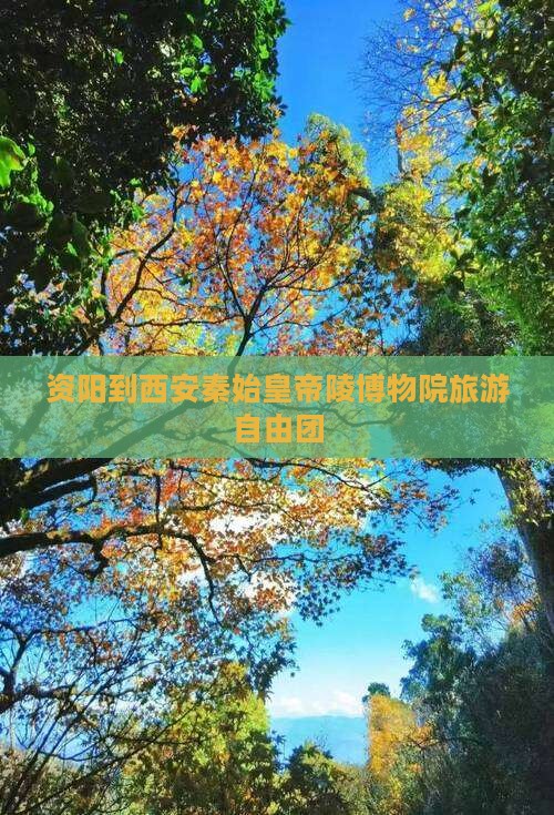 资阳到西安秦始皇帝陵博物院自由团