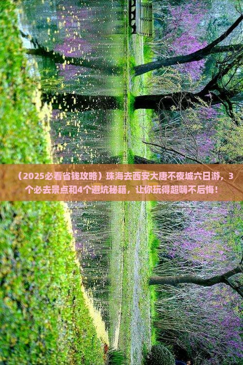珠海去西安大唐不夜城六日游