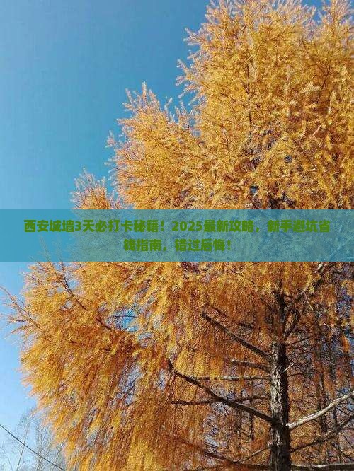 黄山去西安城墙必去地
