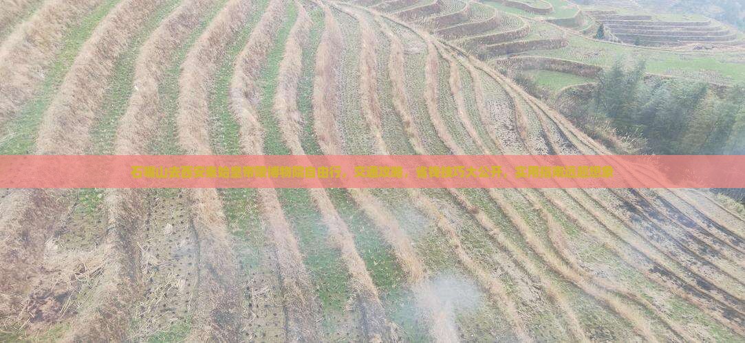 石嘴山去西安秦始皇帝陵博物院自由行