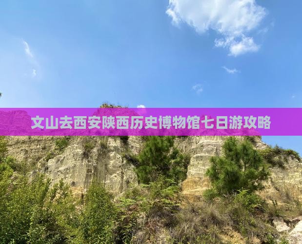 文山去西安陕西历史博物馆七日游