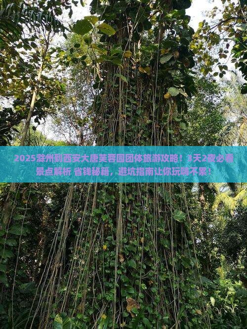 滁州到西安大唐芙蓉园团体旅游
