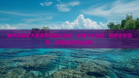 赣州到西安大唐芙蓉园团体旅游