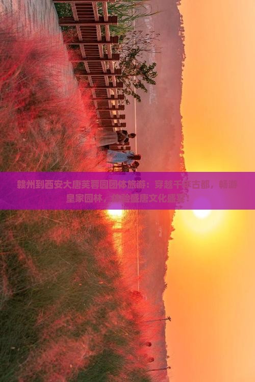 赣州到西安大唐芙蓉园团体旅游