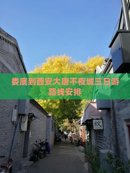 娄底到西安大唐不夜城三日游
