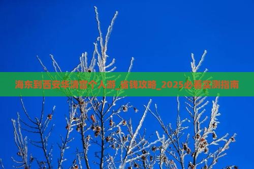 海东到西安华清宫个人游