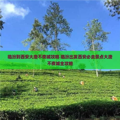 临汾到西安大唐不夜城攻略