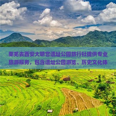 莱芜去西安大明宫国家遗址公园旅行社