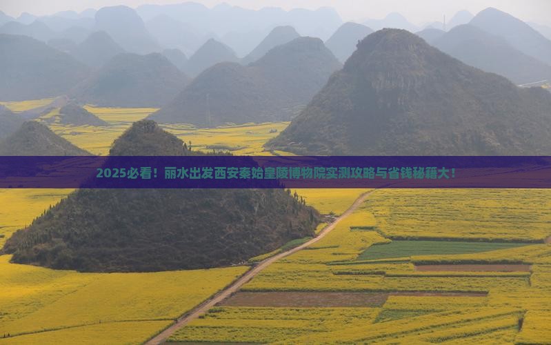 丽水去西安秦始皇帝陵博物院大型旅游团