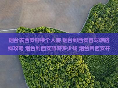 烟台去西安钟楼个人游