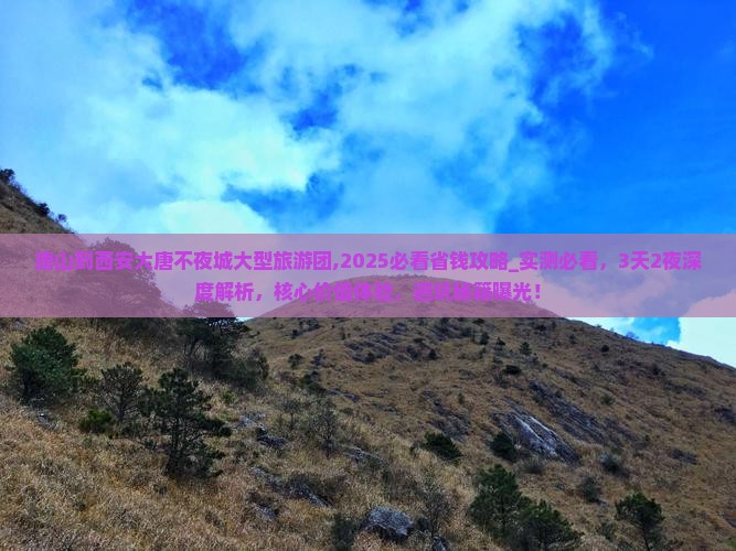 唐山到西安大唐不夜城大型旅游团
