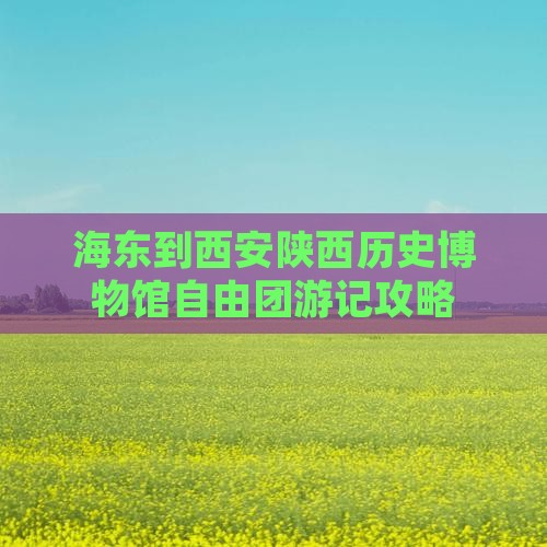 海东到西安陕西历史博物馆自由团