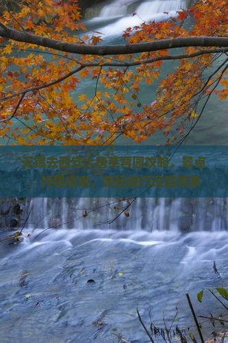无锡去西安大唐芙蓉园攻略
