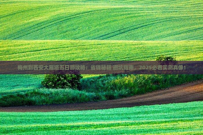 梅州到西安大雁塔五日游