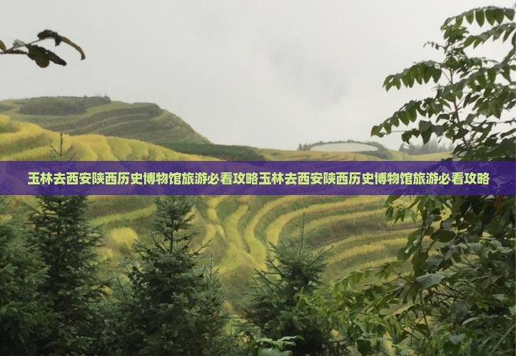 玉林去西安陕西历史博物馆旅游