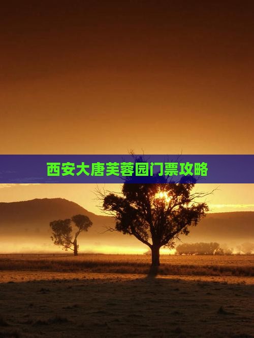 醴陵去西安大唐芙蓉园门票