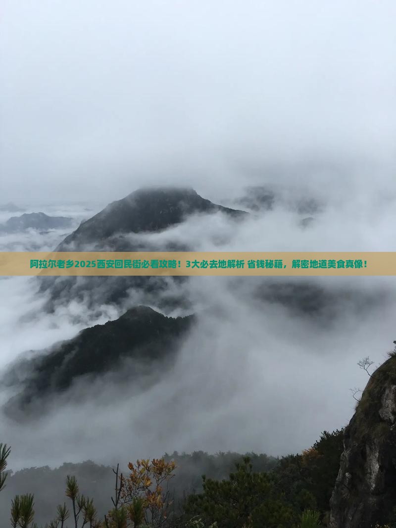 阿拉尔去西安回民街必去地