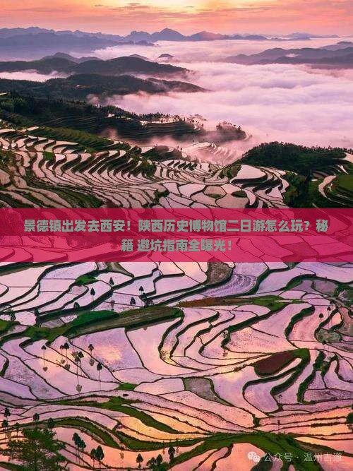 景德镇去西安陕西历史博物馆二日游