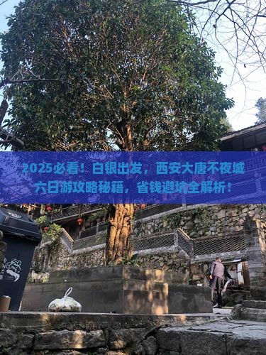 白银到西安大唐不夜城六日游