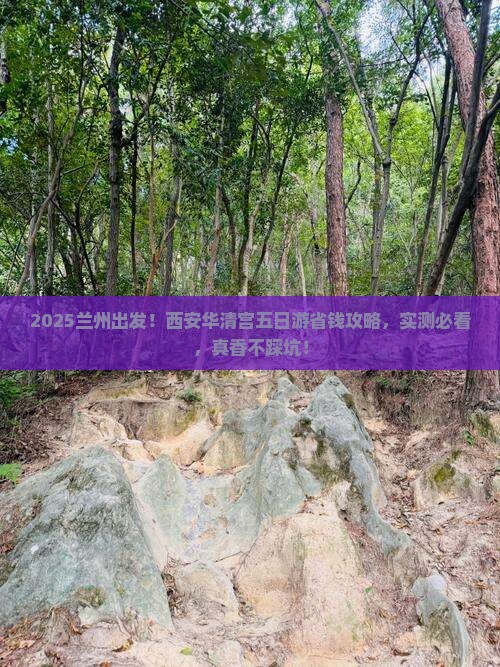 兰州去西安华清宫五日游