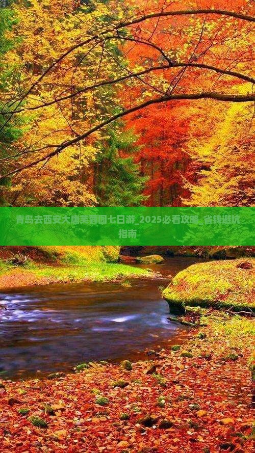 青岛去西安大唐芙蓉园七日游