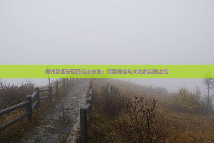 梧州到西安回民街必去地