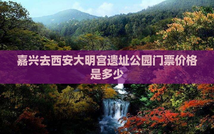 嘉兴去西安大明宫遗址公园门票价格是多少