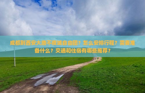 成都到西安大唐不夜城自由团？怎么安排行程？需要准备什么？交通和住宿有哪些推荐？