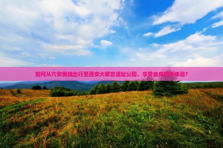 如何从六安便捷出行至西安大明宫遗址公园，享受自由团新体验？