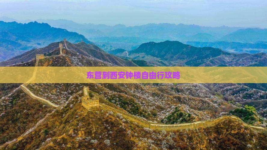 东营到西安钟楼自由行攻略