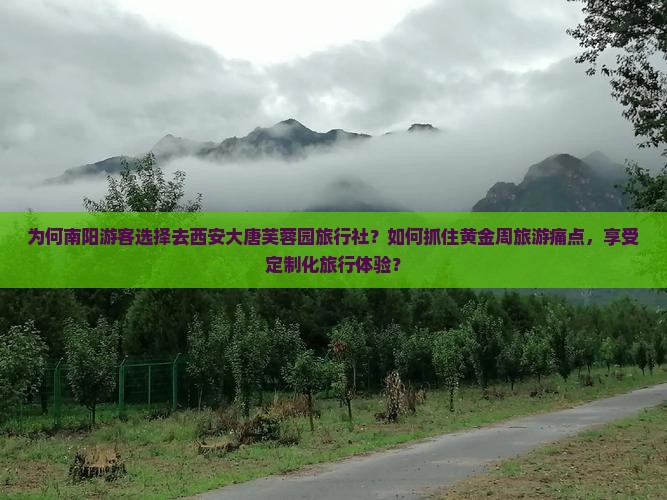 为何南阳游客选择去西安大唐芙蓉园旅行社？如何抓住黄金周旅游痛点，享受定制化旅行体验？