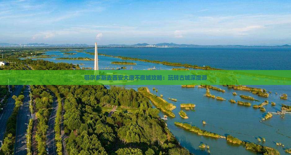 鄂尔多斯去西安大唐不夜城攻略：玩转古城深度游