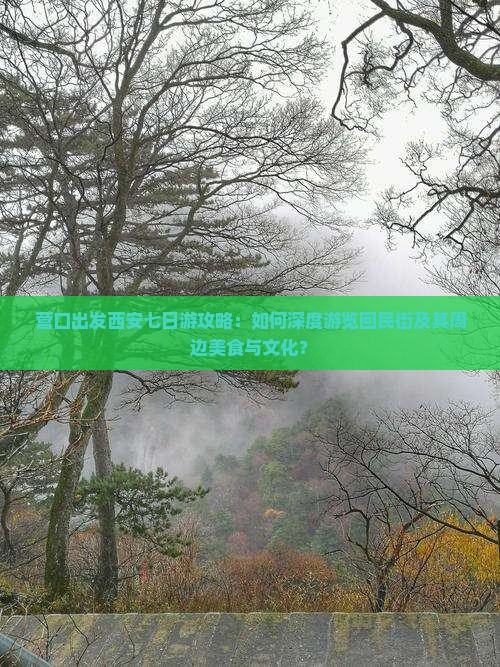 营口出发西安七日游攻略：如何深度游览回民街及其周边美食与文化？