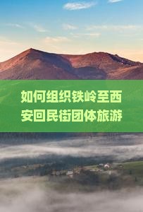 如何组织铁岭至西安回民街团体旅游？哪些景点值得一游？如何安排行程？
