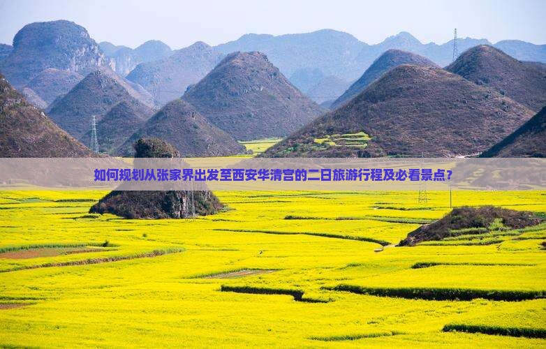 如何规划从张家界出发至西安华清宫的二日旅游行程及必看景点？