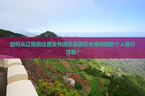 如何从辽阳前往西安并游览陕西历史博物馆的个人旅行攻略？