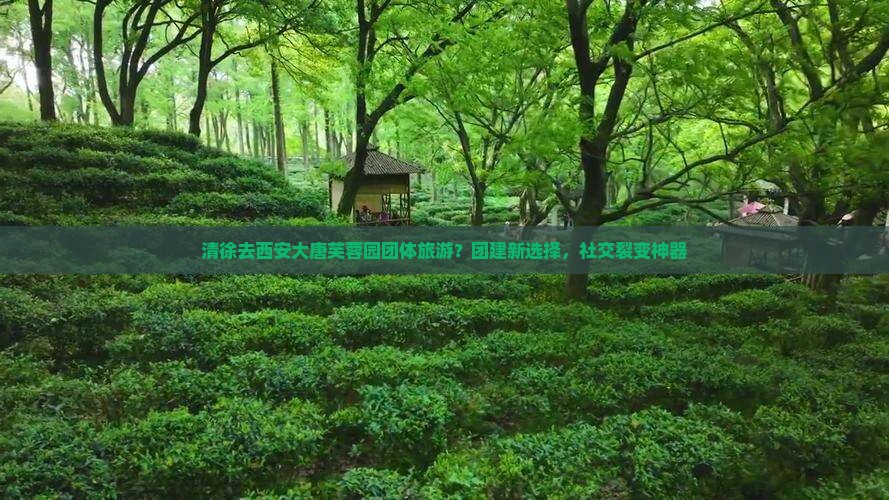 清徐去西安大唐芙蓉园团体旅游？团建新选择，社交裂变神器