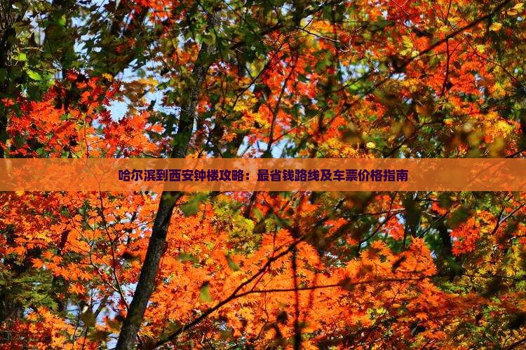 哈尔滨到西安钟楼攻略：最省钱路线及车票价格指南