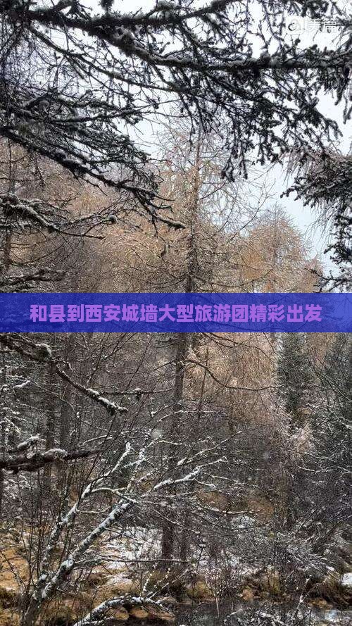 和县到西安城墙大型旅游团精彩出发
