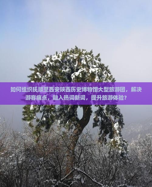如何组织抚顺至西安陕西历史博物馆大型旅游团，解决游客痛点，融入热词新词，提升旅游体验？